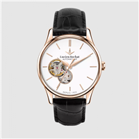 Watch Lucien Rochat Man in Steel yellow gold plated R0421115001 - R0421115001